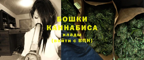 apvp Богданович