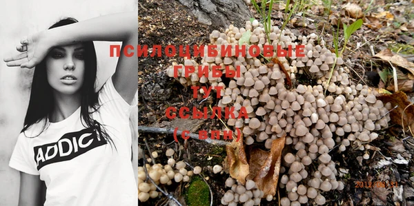 прущий лед Богородицк