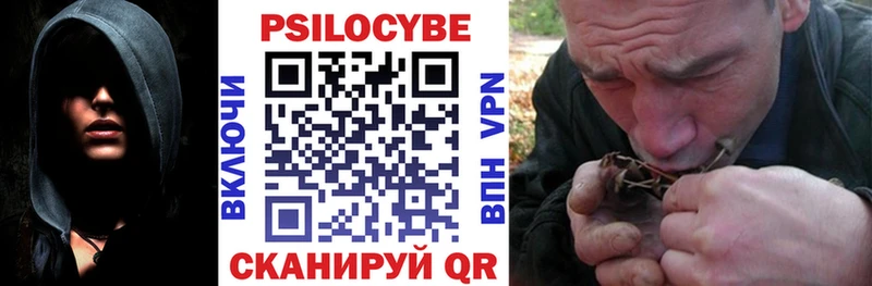 Псилоцибиновые грибы MAGIC MUSHROOMS  Купить  Партизанск 