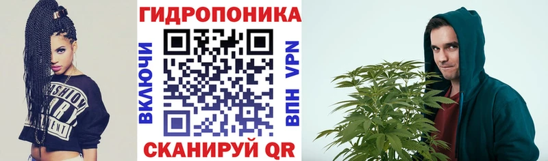 Купить где  Партизанск  Шишки марихуана конопля 